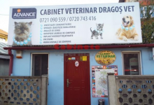Fotografia 4 — Cabinet Veterinar Otopeni - Dragos Vet