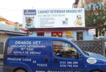Fotografia 2 — Cabinet Veterinar Otopeni - Dragos Vet