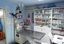 Fotografia 5 — Cabinet Veterinar Otopeni - Dragos Vet