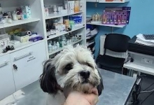 Fotografia 1 — Cabinet Veterinar Otopeni - Dragos Vet