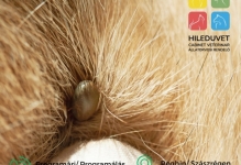 Doctor Veterinar Reghin Cabinet Veterinar HILEDUVET Állatorvosi Rendelő